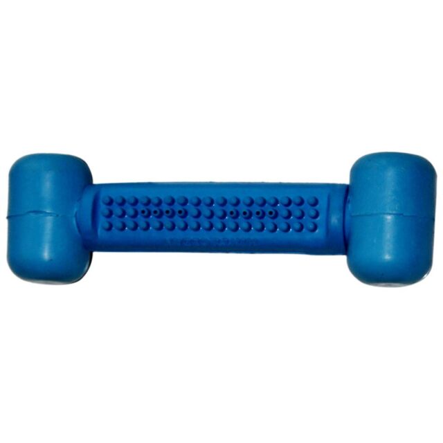 rubber dog chew toy