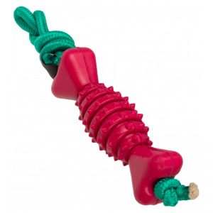 dog rope toy with bone