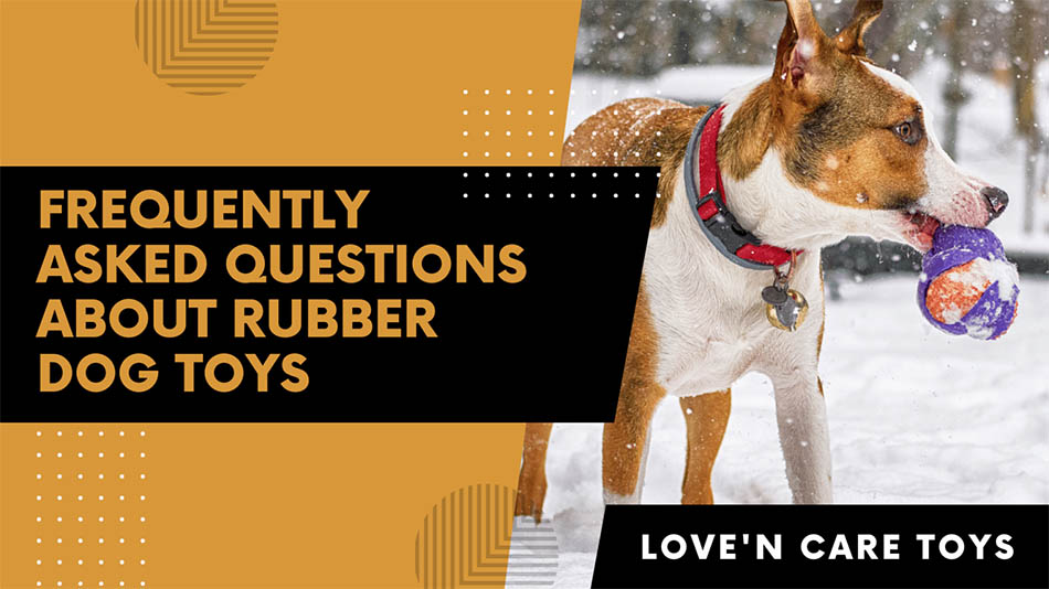 Frequently asked questions about rubber dog toys? - Love n care toys