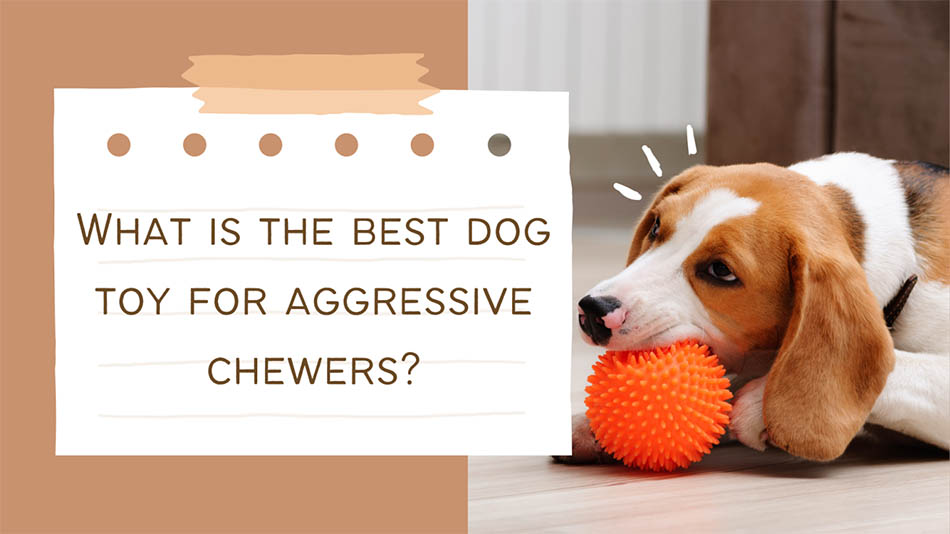 What is the best dog toy for aggressive chewers? - Love n care toys