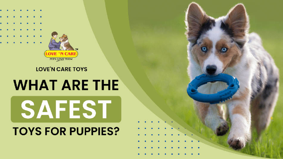 What Are The Safest Toys For Puppies? - Love N Care toys