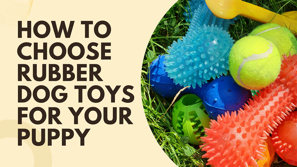 How To Choose Rubber Dog Toys For Your Puppy? - Love n care toys