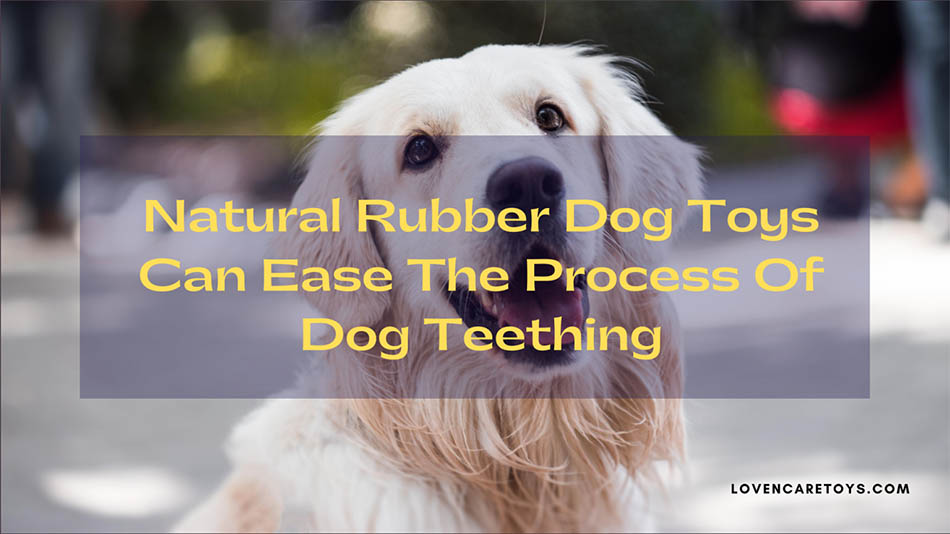 Natural Rubber Dog Toys Can Ease The Process Of Dog Teething