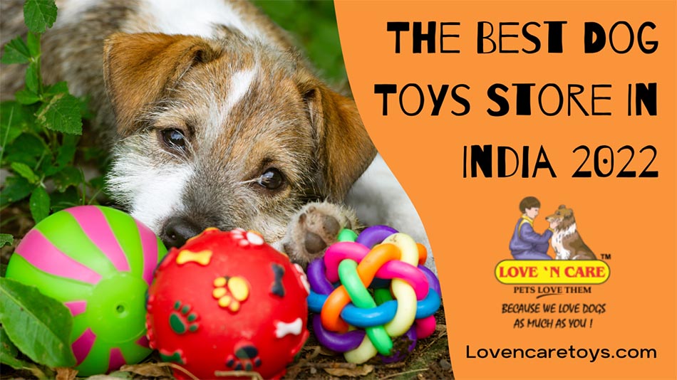 The Best Dog Toys Store In India 2022