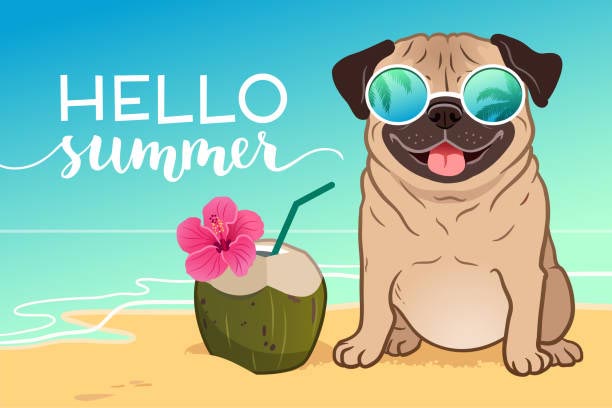 Hello-summer