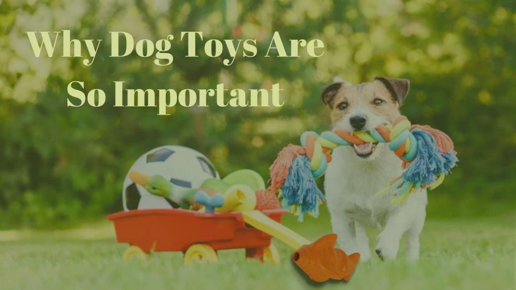 Why Dog Toys Are So Important