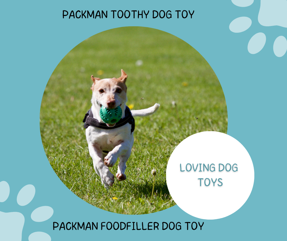Packman Toothy, Food Filler Dog Toy