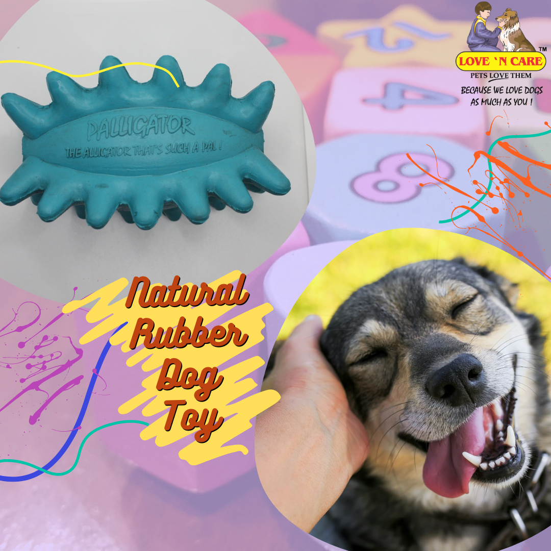 Rubber DOg Toy Palligator