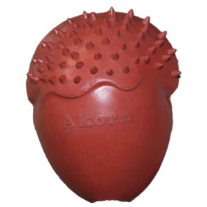 The Process of Dog Teething - Love N Care